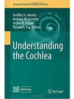 Understanding the Cochlea