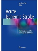 Acute Ischemic Stroke: Medical, Endovascular, and Surgical Techniques