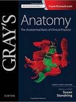 Gray's Anatomy: The Anatomical Basis of Clinical Practice,41/e