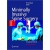 Minimally Invasive Spine Surgery A Surgical Manual (Mayer)