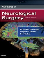 Principles of Neurological Surgery, 4e 4th Edition