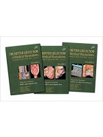 The Netter Collection of Medical Illustrations: Digestive System Package, 2/e (Netter Green Book Collection)