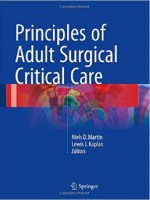 Principles of Adult Surgical Critical Care 1st ed. 2016 Edition