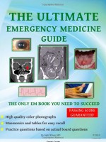 The Ultimate Emergency Medicine Guide: The only EM book you need to succeed