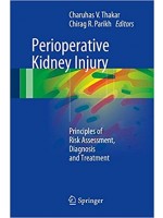 Perioperative Kidney Injury: Principles of Risk Assessment, Diagnosis and Treatment