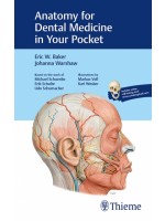 Anatomy for Dental Medicine in Your Pocket