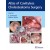 Atlas of Cavityless Cholesteatoma Surgery (Volume 1)