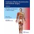 Textbook of Plastic, Reconstructive and Aesthetic Surgery Vol1 : Principles and Advances in Plastic Surgery