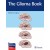 The Glioma Book