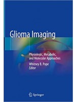 Glioma Imaging: Physiologic, Metabolic, and Molecular Approaches