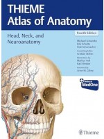 Head, Neck, and Neuroanatomy (THIEME Atlas of Anatomy), 4e