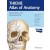 Head, Neck, and Neuroanatomy (THIEME Atlas of Anatomy), 4e