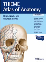 Head, Neck, and Neuroanatomy (THIEME Atlas of Anatomy), 3e
