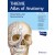 Head, Neck, and Neuroanatomy (THIEME Atlas of Anatomy), 3e