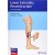 Lower Extremity Reconstruction A Practical Guide