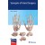 Synopsis of Hand Surgery