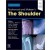 Rockwood and Matsen's The Shoulder 6th Edition