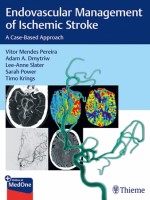 Endovascular Management of Ischemic Stroke: A Case-Based Approach