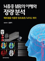 뇌졸중 MRI의 이해와 정량분석:매트랩을 이용한 참조 표준/뇌지도 제작