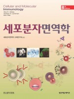 세포분자면역학(8판):Cellular & Molecular Immunology