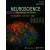 신경과학:뇌의탐구 4판