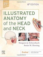 Illustrated Anatomy of the Head and Neck 6e