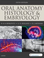 Oral Anatomy, Histology and Embryology, 5e