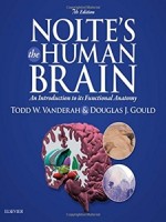 Nolte's The Human Brain: An Introduction to its Functional Anatomy,7/e