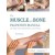 The Muscle and Bone Palpation Manual with Trigger Points, Referral Patterns and Stretching 3e