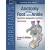 Sarrafian's Anatomy of the Foot and Ankle 4e-Descriptive, Topographic, Functional