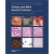 Urinary and Male Genital Tumours 5e- WHO Classification of Tumours, 8