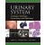 Cytology, Histology, Cystoscopy, and Radiology of the Urinary System