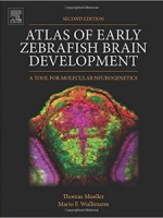 Atlas of Early Zebrafish Brain Development,2/e