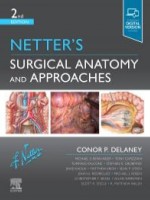 Netter's Surgical Anatomy and Approaches 2e