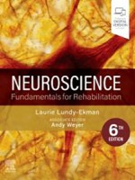 Neuroscience: Fundamentals for Rehabilitation 6e