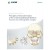 Principles of Internal Fixation of the Craniomaxillofacial Skeleton