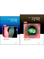 각막4판(전2권)