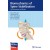 Biomechanics of Spine Stabilization