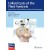 Colloid Cysts of the Third Ventricle: Natural History, Decision-Making, and Operative Management