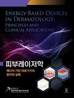 피부레이저학