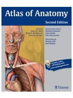 Atlas of Anatomy 2/e