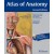 Atlas of Anatomy 2/e