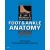 McMinn's Color Atlas of Foot & Ankle Anatomy,4/e