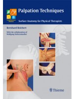 Palpation Techniques : Surface Anatomy for Physical Therapists