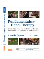 Fundamentals of Hand Therapy,2/e