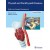 Thyroid and Parathyroid Diseases Medical and Surgical Management , 2/e