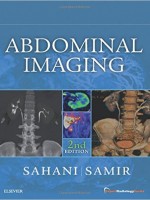Abdominal Imaging: Expert Radiology Series, 2e