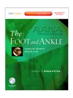 AANA Advanced Arthroscopy:The Foot and Ankle-Expert Consult