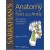 Sarrafian's Anatomy of the Foot and Ankle: Descriptive, Topographic, Functional