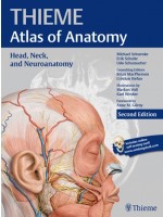 Head, Neck, and Neuroanatomy (THIEME Atlas of Anatomy)